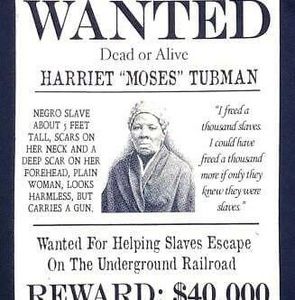 Meet your Posher, Willard